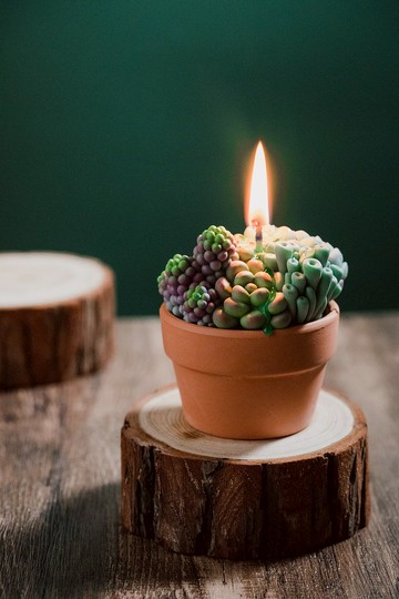 草本植栽 • 多肉蠟燭