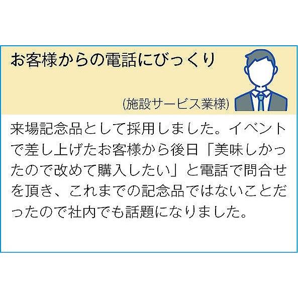 ノベルティ 記念品　至福の逸品 だしがきいてる和のカレー2食入