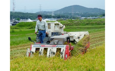 定期便 稲美金賞農家 藤本勝彦さんのミルキークイーン玄米5kg《12ヶ月連続お届け》