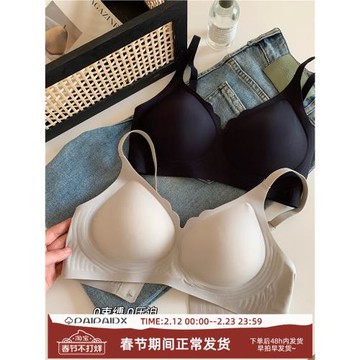 內衣女生小胸聚攏收副乳防下垂美背女士2024新款爆款一體背心文胸