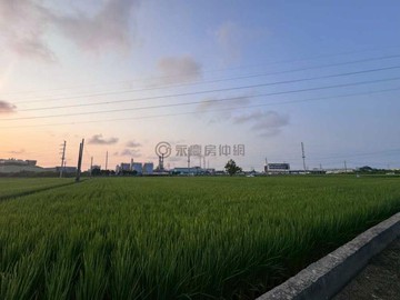 紘緯推薦本洲工業區方正臨路大面寬農地｜高雄市岡山區新本洲段