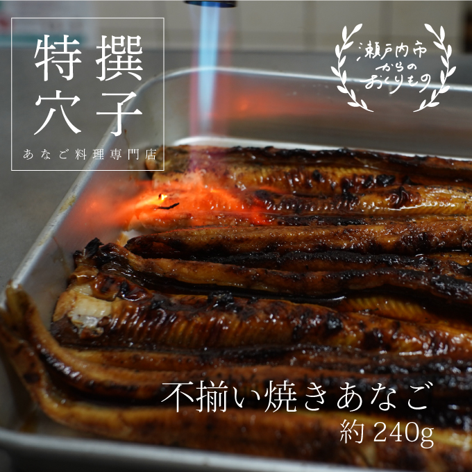 焼き あなご 240g 不揃い小ぶりサイズ