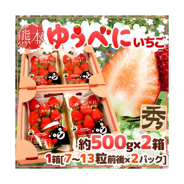 熊本県 ”ゆうべにいちご（熊紅いちご）” 秀品 2パック入り（1パック 7〜13粒 約250g）×《2箱》 送料無料