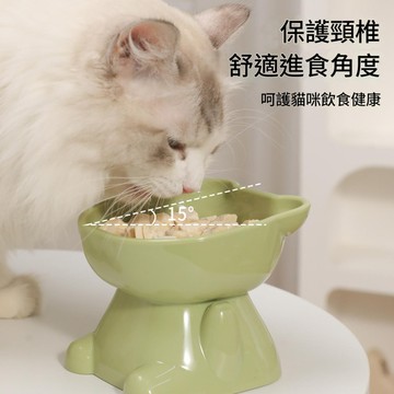 可愛大臉熊寵物食碗 高腳碗 水碗 寵物碗