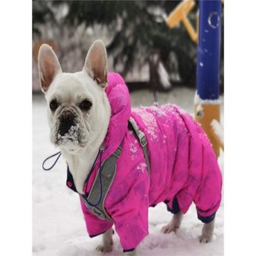 法斗斗牛巴哥惡霸90白鴨絨防水保暖四腳加厚肥胖狗狗護肚羽絨服冬