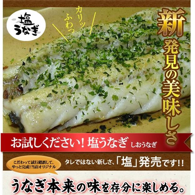 バラ売り　四万十ウナギ （特製） 塩うなぎ　（約140g 本）　有頭　1本