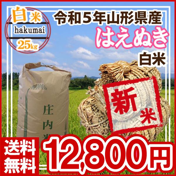 白米 25kg (5kg×5) 山形県産 はえぬき 米 お米 精米済 令和5年（送料無料）