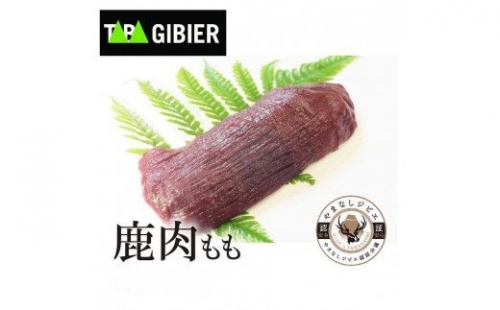 タバジビエ・鹿モモ肉 300g