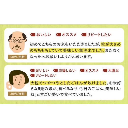 ふるさと納税 佐賀県 江北町 令和5年産 新米 さがびより 無洗米 5kg [HBL005]