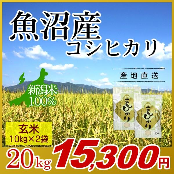 魚沼産コシヒカリ 玄米 20kg(10kg×2袋)／新米 米 お米 新潟米 新潟 コシヒカリ 南魚沼産 魚沼 高級米 ブランド米