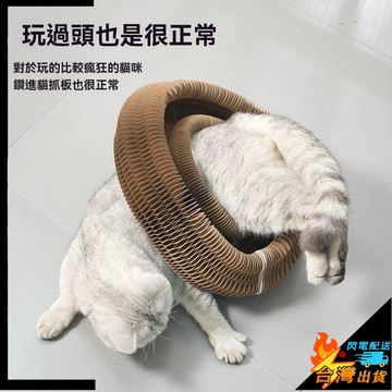 【台灣出貨】寵物玩具 貓玩具 魔術風琴抓板 可摺疊玩具 貓爪板 貓爪陶球玩具 不掉屑逗貓咪玩具