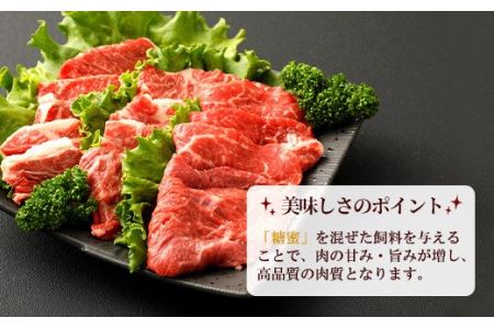 嘉穂牛 食べ比べセット（カルビ、ロース、赤身） 牛肉