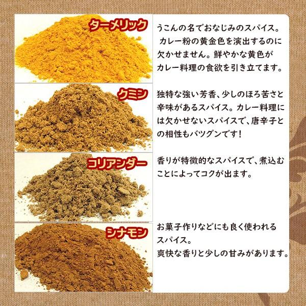 水郷どり スパイシーチキンカレー インド風カレー レトルト あすつく