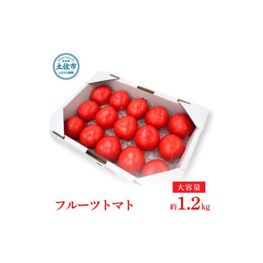 ふるさと納税 高知県 土佐市 お徳用フルーツトマトＬサイズ1.2kg 約15玉 Lサイズ 糖度8度以上 フルーツトマト ふるーつとまと とまと トマト 箱詰め 甘い 濃厚…