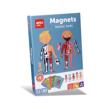 西班牙 APLI - 認識身體器官學習卡-英文版-0018531