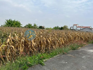 獨家 新營區姑爺雙面路乙建109 -賴薇渟 ｜台南市新營區姑爺
