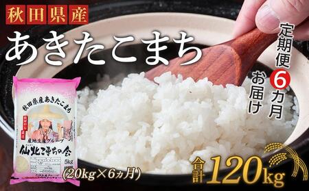 秋田県産あきたこまち6か月(20kg×6か月)