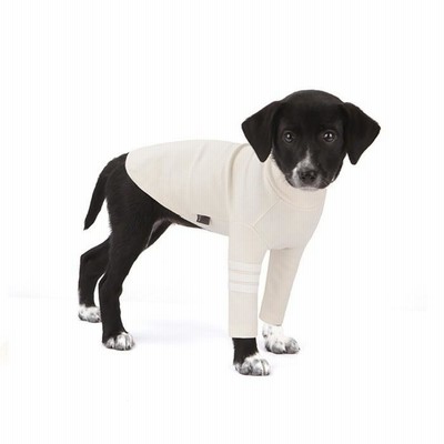 送料無料 犬服 ドッグウェア 秋 冬 シンプル タートルネック    ストライプポイントタートルネック  ホワイト