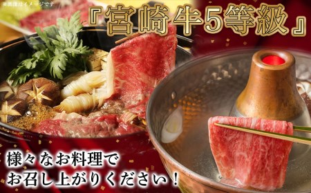 宮崎牛(A5)ローススライス500g≪みやこんじょ特急便≫_AD-0102-Q_(都城市) 10日以内お届け 宮崎牛ロース薄切り肉 500g×1パック A5 5等級 すき焼き 国産牛肉 宮崎県産牛肉 都城産 霜降り肉 ギフト 贈答用