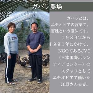 ふるさと納税 ガバレ農場の季節の有機野菜詰め合わせセット 埼玉県鴻巣市