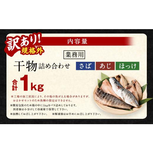 ふるさと納税 茨城県 神栖市 業務用 干物詰め合わせ 1kg 3種 セット さば 鯖 縞ほっけ ほっけ あじ 鯵 魚