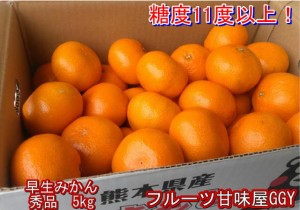 早生みかん　秀品　１箱5kg　サイズL・M・S　熊本産　フルーツ　グルメ　80サイズ