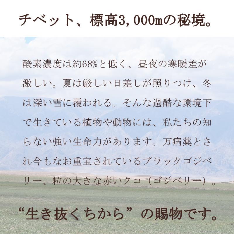 クコの実 ゴジベリー ドライフルーツ セット クコ オーガニック ビタミンC 2袋