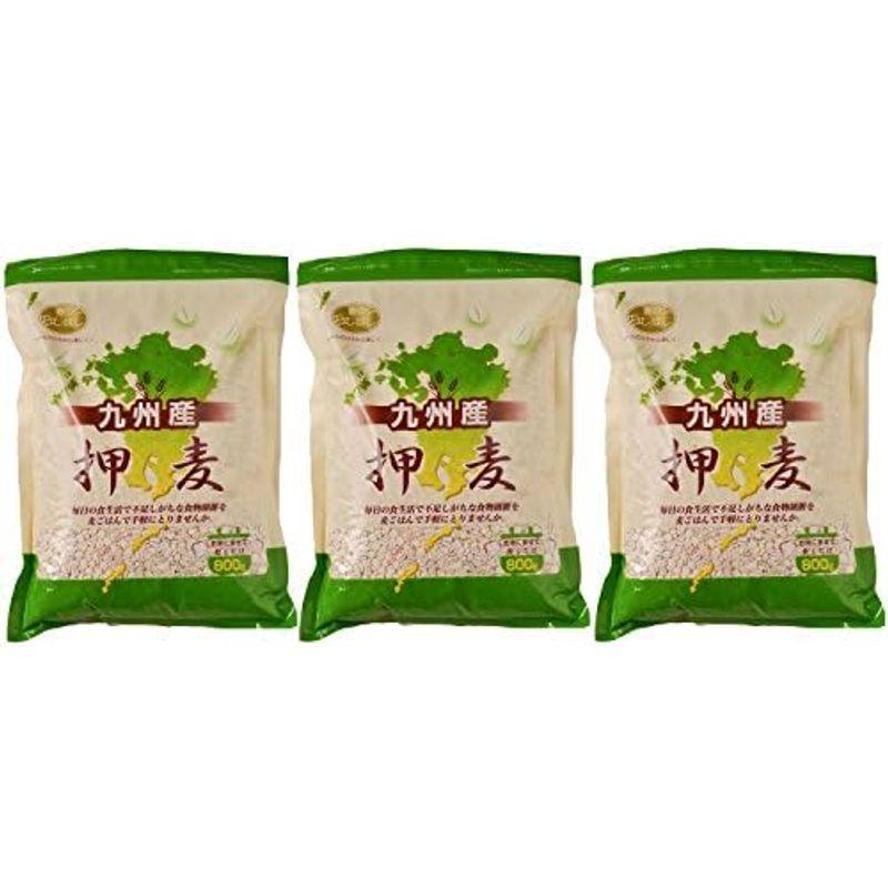 石橋工業 九州産押麦 800g×3個