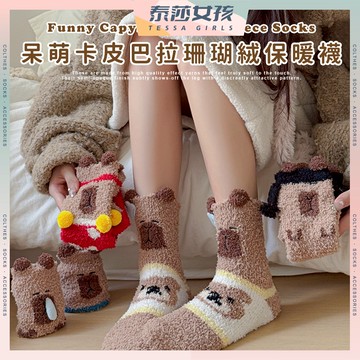 ⭕隔日到貨⭕呆萌卡皮巴拉珊瑚絨保暖襪 棉襪 女生襪子 襪子 女襪 保暖 少女 卡皮巴拉 中筒襪 少女襪 秋冬 水豚 呆萌