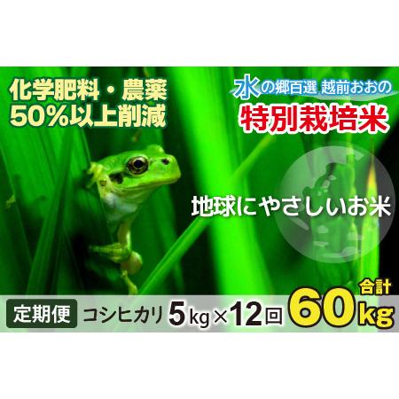 ふるさと納税 こしひかり 5kg × 12回 計60kg減農薬・減化学肥料 「特別栽培米」地球にやさしい.. 福井県大野市