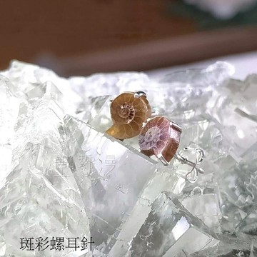 【土桑展精選寶物】招財/幸運飾品---斑彩螺耳針 搬財螺 耳環 耳針 飾品 ??聖哲曼??