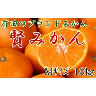 ふるさと納税 和歌山県 有田川町  [秀品]有田のブランド「賢みかん」10kg(Mサイズ)