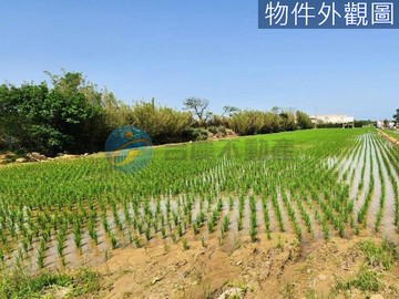 新豐臨路六米便宜美農地｜新竹縣新豐鄉後湖子