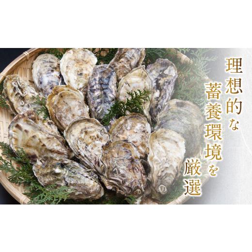 ふるさと納税 熊本県 上天草市 活き天草真牡蠣 2kg（100g以上×20個）加熱用かき 牡蠣 カキ