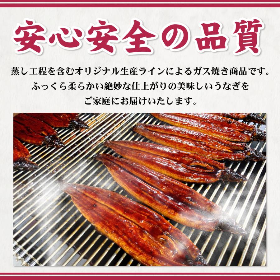 うなぎ ひつまぶし 蒲焼き 国産 愛知一色産 キザミうなぎ 5パックセット 50g×5食 山椒付き蒲焼きタレ×5個 個包装 真空パック 贈答品