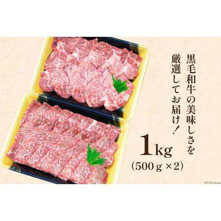 ふるさと納税 牛肉  黒毛和牛 宮崎産 希少部位 焼肉 セット 1kg [ウィズ・クリエイティブ 宮崎県 日向市 452060283] 和牛 焼肉用 赤身 肉 国産 宮崎県日向市