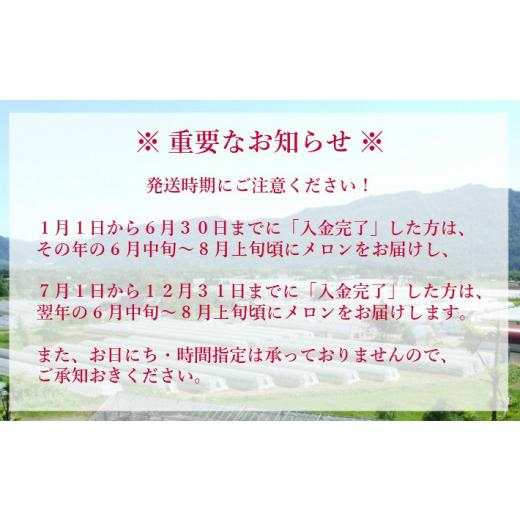 ふるさと納税 北海道 夕張市 夕張メロン2玉（糖度11％以上　等級：優） N2