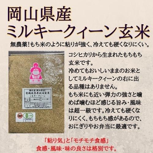 無農薬 ミルキークイーン 玄米 900g 岡山県産 令和5年産 新米 お米