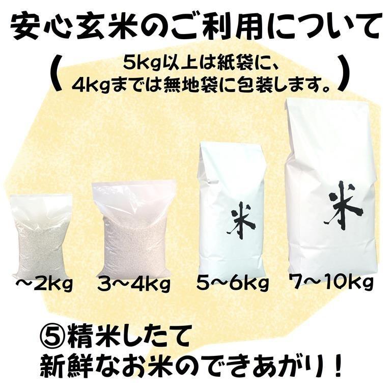 新米令和5年産 仁多米『大峠源流米』玄米1kg　島根県仁多郡奥出雲町大馬木大峠　◎1kg単位での小分け精米無料・分づき米対応◎受注後に計量・精米