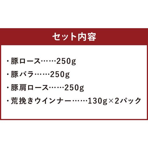 ふるさと納税 熊本県 菊池市 豚肉（金TONG）焼肉＆ウインナー セット 計1kg 4種 食べ比べ 国産