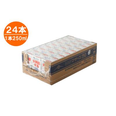 ふるさと納税 益城町 大阿蘇牛乳　250ml×24本