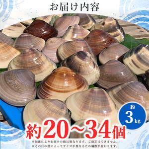 ふるさと納税 天然はまぐり約3kg (千葉県産) 千葉県いすみ市