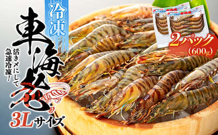 活き〆冷凍 車海老 3Lサイズ 計600g  鹿児島県産 (養殖)