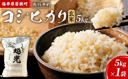 令和5年産福井県若狭町コシヒカリ（一等米）玄米　5kg（神谷農園） 5kg×1袋