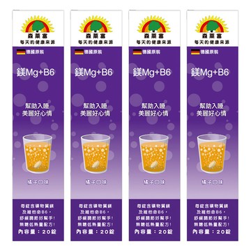 SUNLIFE 森萊富 維他命鎂Mg+B6 橘子口味  20顆  80g  4盒