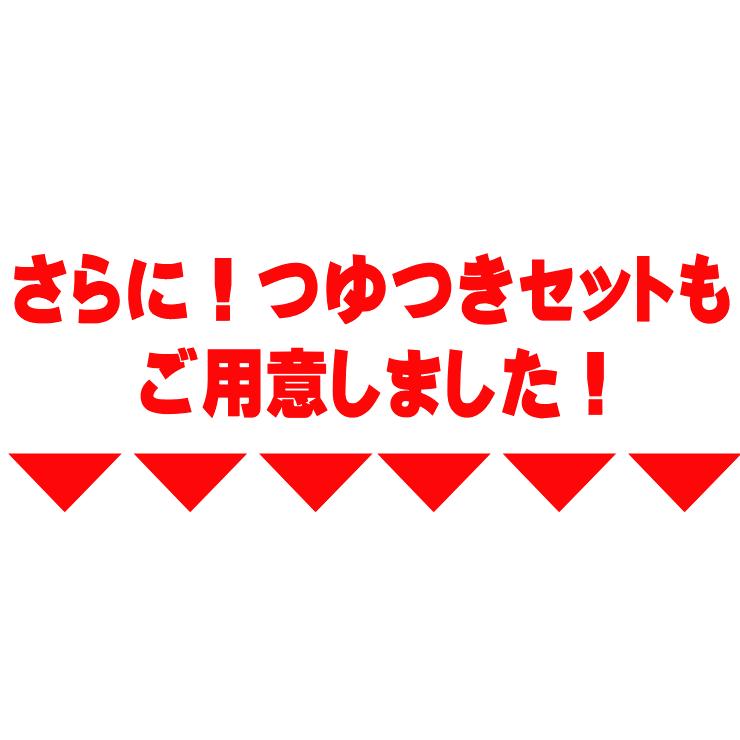 送料無料（北海道・沖縄） 女・美！細麺 讃岐うどん 20人前つゆなし又は14人前つゆ有りセット お歳暮 内祝い 贈り物 お返し お見舞い 新築祝い ギフト等