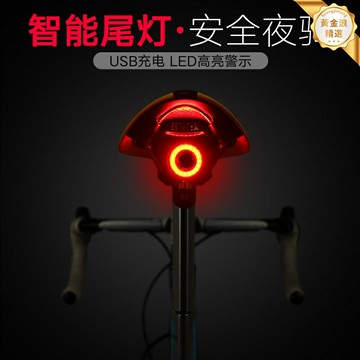 【智能剎車感應】自行車尾燈 山地車燈 公路車燈 USB充電 夜騎裝備 高亮警示 防水防震 多功能安裝 騎行安全必備
