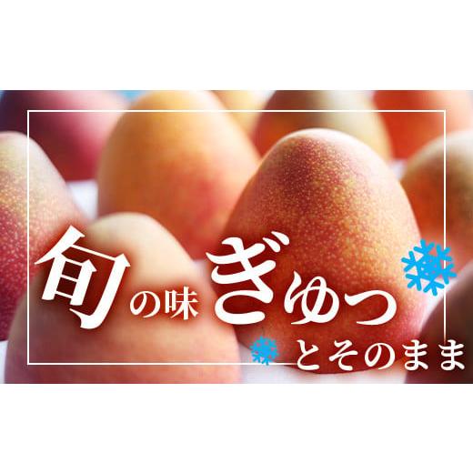 ふるさと納税 沖縄県 石垣市 石垣島産まるごと冷凍マンゴー　2〜5個  約1kg 【ふるさと納税 マンゴー 産地直送 フルーツ 果物 沖縄県石垣市 石垣 …