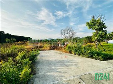 玉井台20線旁916坪農地｜台南市玉井區芒子芒段