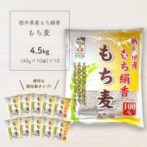 ふるさと納税 もち麦 (45g×10袋)×10個 栃木県真岡市